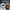 Aspecto de contratista de Halloween para Firewall Zero Hour GRATIS para PS+