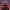 Hitman Halloween GRATIS
