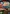 Rocket League para PC (Steam)