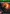 Shadow of the Tomb Raider para XOne
