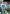 LEGO Ninjago para PC (Steam)