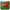 Chicken Tournament Juego para Androids Gratis