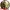 Serious Sam 3: BFE solo 3,6€
