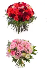 15% en toda la web InterFlora 15% en toda la web InterFlora