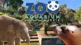 Descuento del 70% en la segunda entrada al Zoológico Madrid