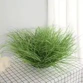 Plantas decorativas muchos modelos a elegir