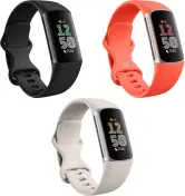 Google Fitbit Charge 6