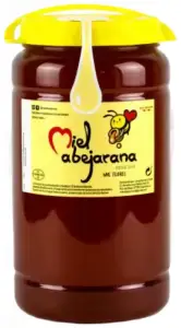 Miel Abejarana bote 2Kg