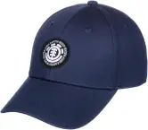 Gorra Element Treelogo 2.0 hombre