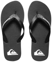 Chanclas hombre Quiksilver Molokai Beach & Pool