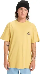 Camiseta hombre algodón Quiksilver Ev Mini Logo SS