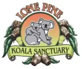 Streaming en vivo de koalas en Australia