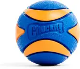 Chuckit! Ultra Squeaker Ball