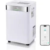 Deshumidificador BlitzHome 20L Smart