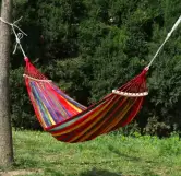 Hamaca colgante con mosquitera