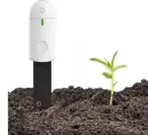 Sensor para plantas Sensor para plantas