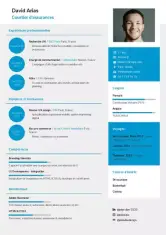 Selección de plantillas de CV premium