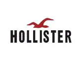 Hasta un 60% de descuento en Hollister