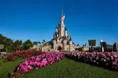 Disneyland París: ticket de 1 día