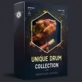 Unique Drum Collection, Rift Feedback Lite y Live Piano Loops