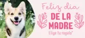 Envío gratis (pedidos +15€) + cupones en Zooplus Envío gratis (pedidos +15€) + cupones en Zooplus