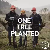 Planta un Árbol (simbólicamente)