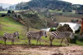 Desde 2 noches + Entradas al parque Cabárceno para parejas o familias
