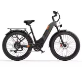 Bicicleta eléctrica Lenkeleisi MG600 1000W