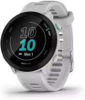 Smartwatch Garmin Forerunner 55 GPS
