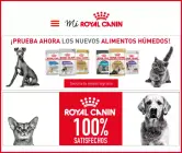 Muestra de comida para gatos en Mi Royal Canin 