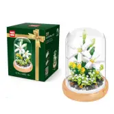 Juego de bloques de Aeonium con botella de exhibición