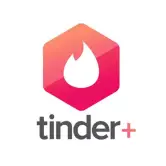 6 meses de Tinder Plus
