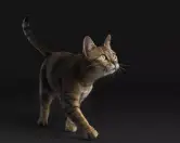 Purina Pro Plan para gatos esterilizados (reembolso)