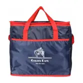 Bolsa de nevera plegable para la playa o piscina 