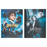 Puzzle Harry Potter 500 Piezas