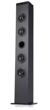 Torre de sonido vertical NK bluetooth 40W