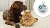 Chapa identificadora para mascotas