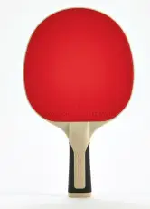 chollo?.name