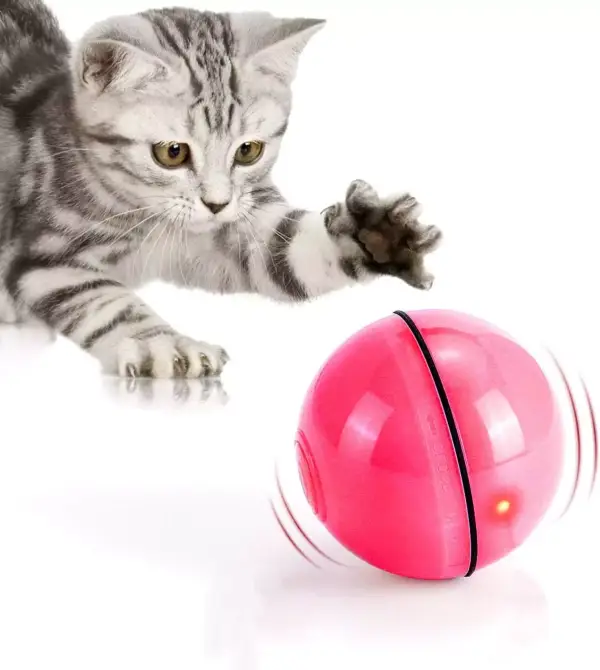 Juguete interactivo para gatos Juguete interactivo para gatos