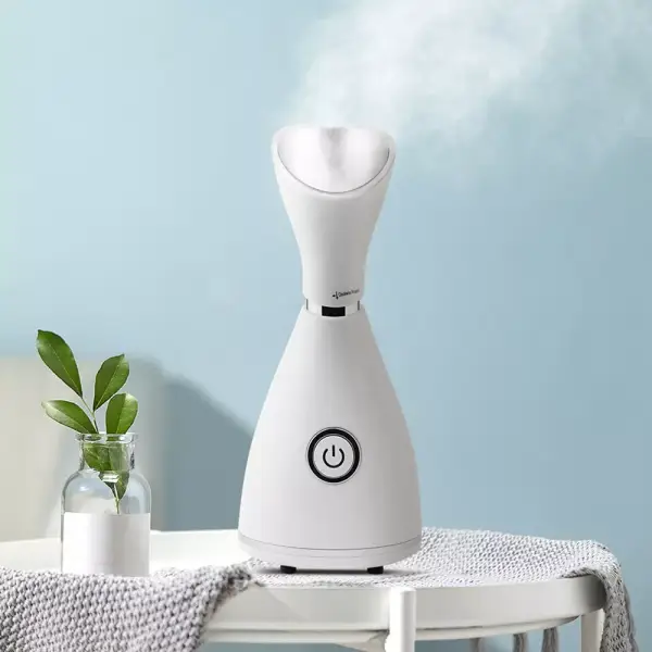 Humidificador Nano iónico para el cuidado de la piel Humidificador Nano iónico para el cuidado de la piel