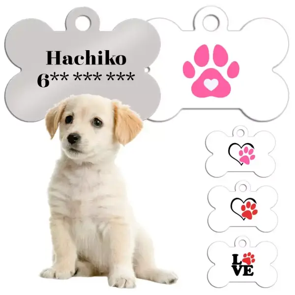 Collar perro de identificación personalizado Collar perro de identificación personalizado