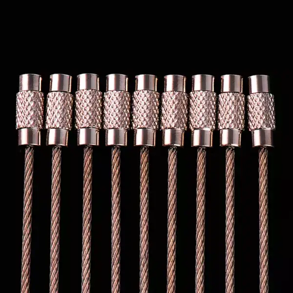 Llavero con mosquetón de acero inoxidable EDC 10ud Llavero con mosquetón de acero inoxidable EDC 10ud