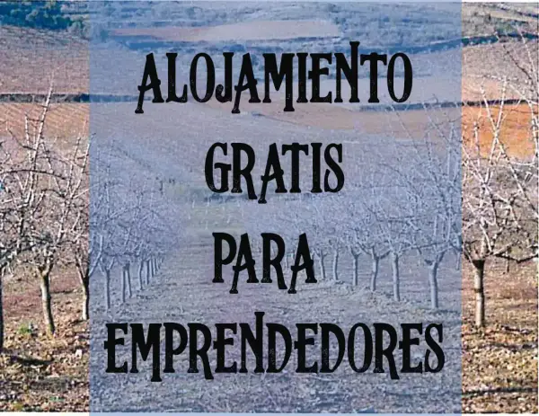 Alojamiento gratis en Olvés para emprendedores Alojamiento gratis en Olvés para emprendedores