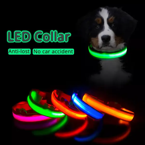Collar LED para perro Collar LED para perro