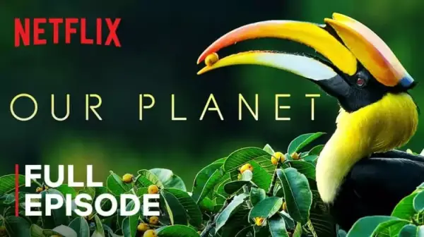 Documentales de Netflix en inglés GRATIS Documentales de Netflix en inglés GRATIS