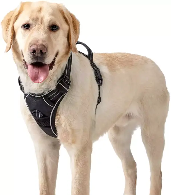 Arnés para perros Arnés para perros