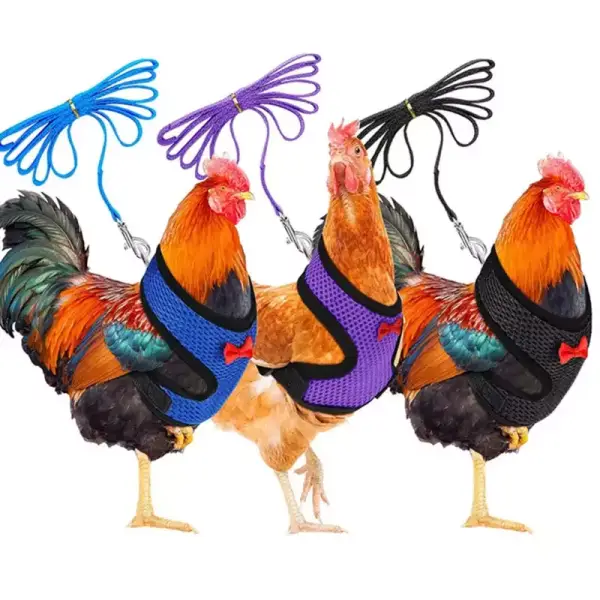 Arnés de pollo con correa ajustable para gallina Arnés de pollo con correa ajustable para gallina