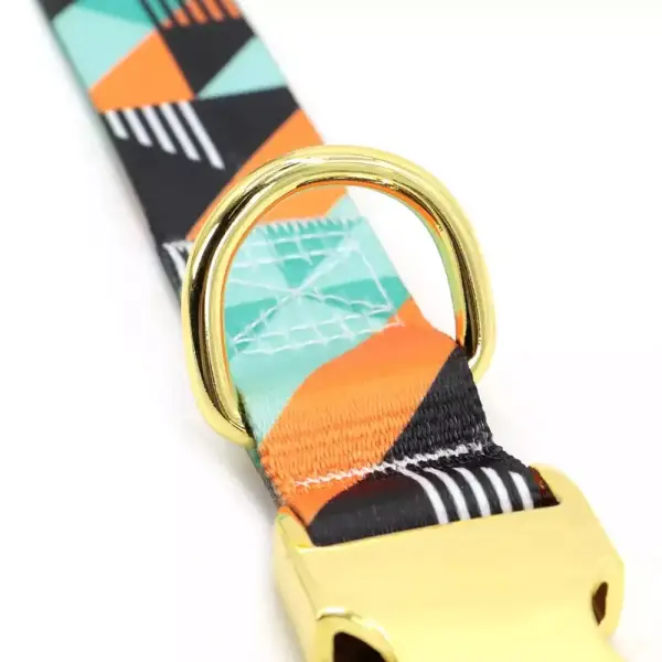 Collar personalizado de nailon con estampado para perro Collar personalizado de nailon con estampado para perro