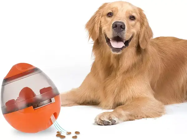 Pelota de golosinas para mascotas Pelota de golosinas para mascotas