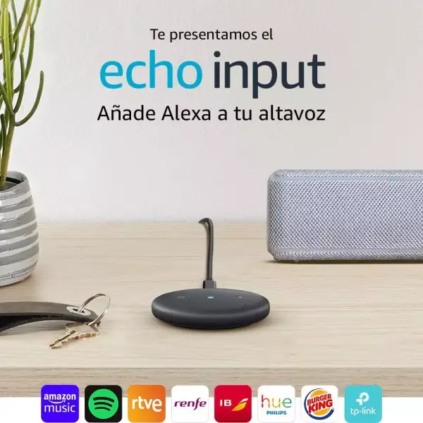 Echo Input Echo Input